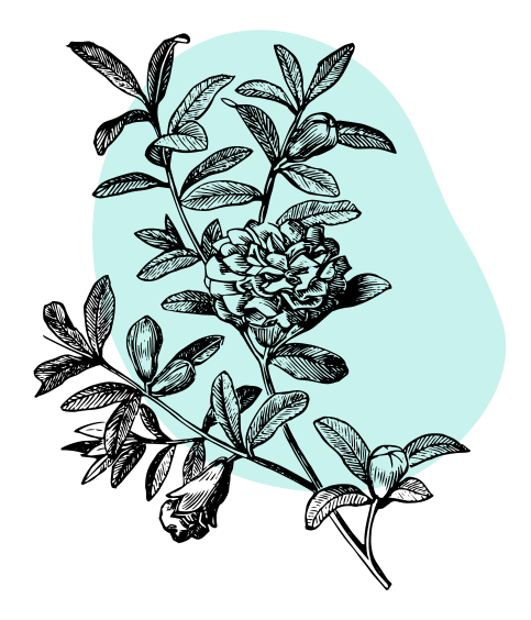 Health With Heart Location Side Illustration