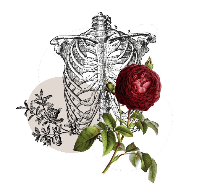 Health With Heart Single Service CTA Health With Heart Single Service CTA
