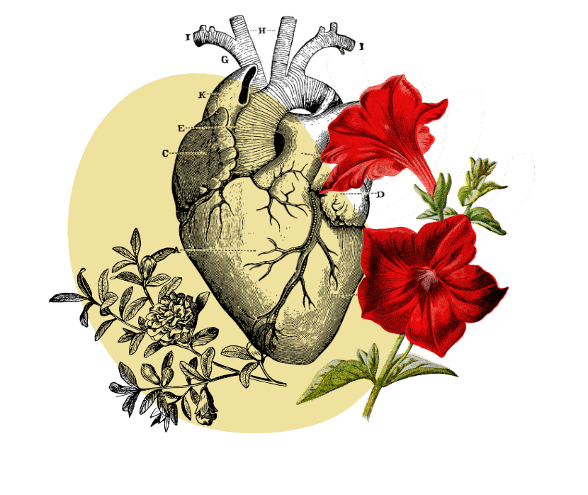 Health With Heart Family Services Header Image Health With Heart Family Services Header Image