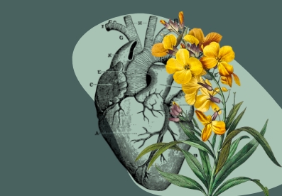 Health With Heart Corporate Procedures Thumbnail