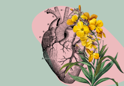 Health With Heart Procedures Thumbnail