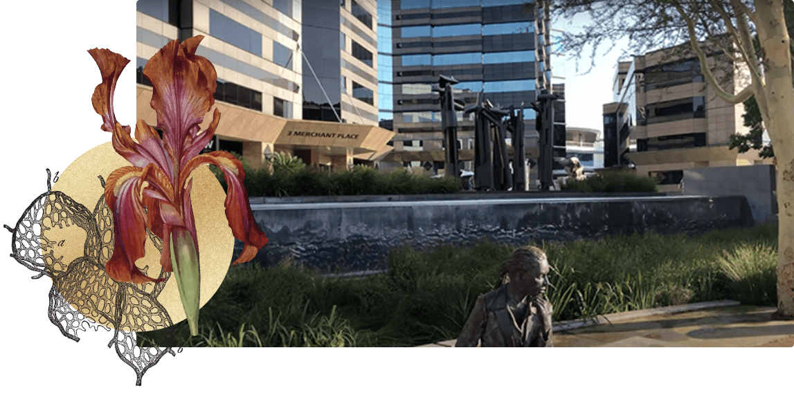 Header Image