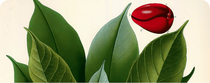 Single Post Header Image