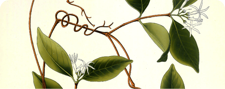 Single Post Header Image