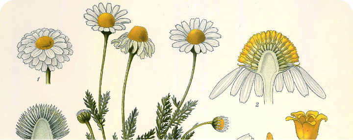 Single Post Header Image