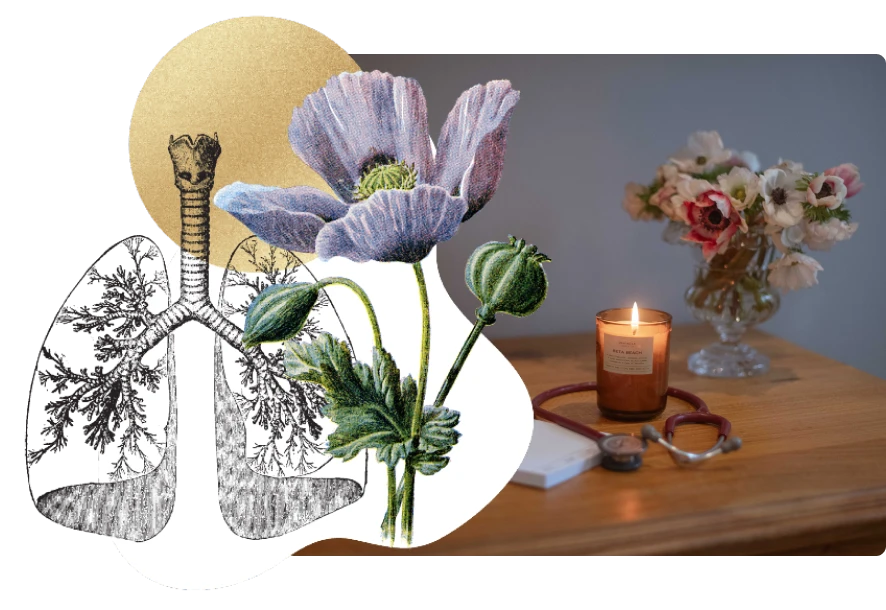 Health With Heart Constellation Medicine Header