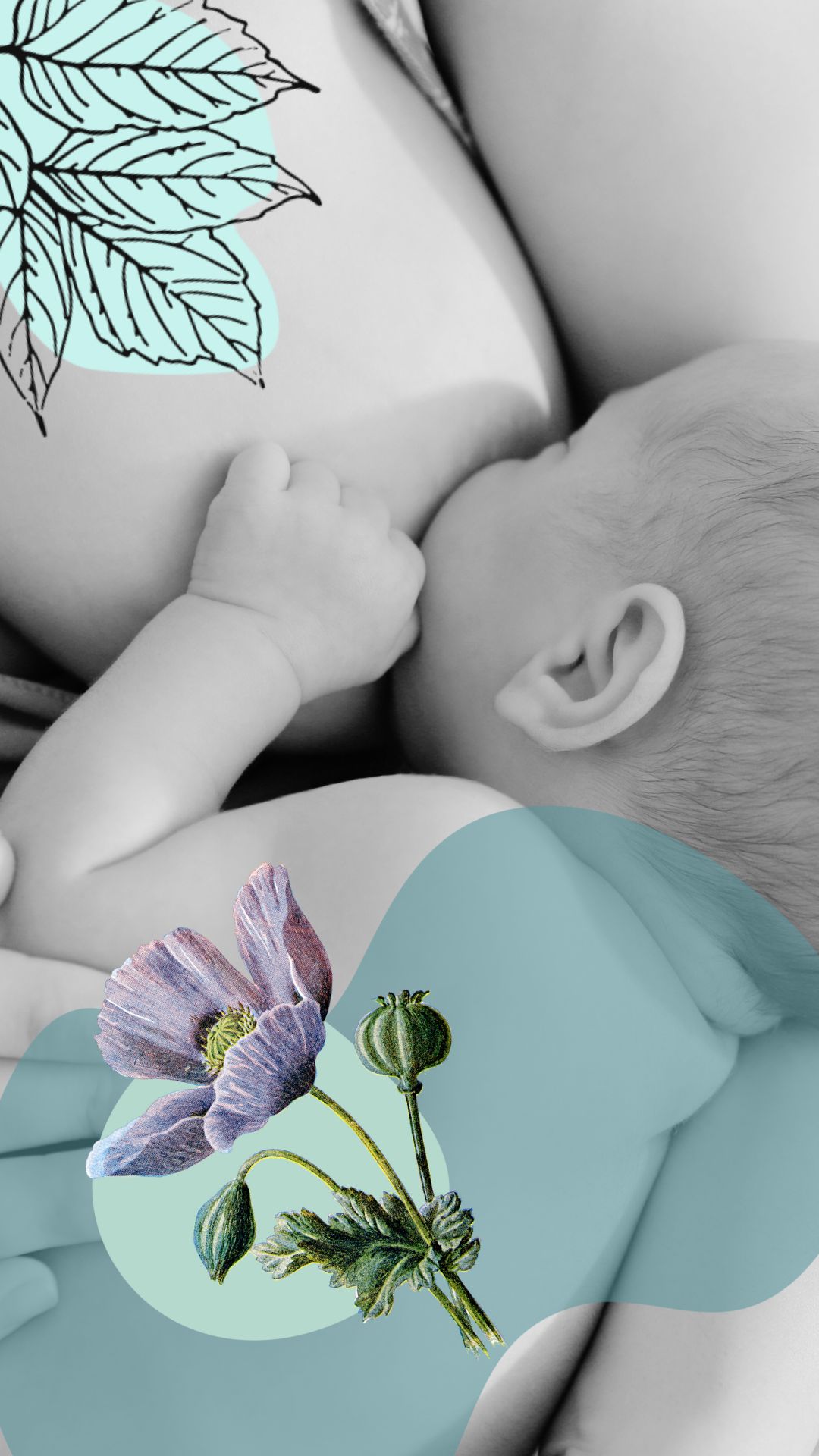 Single Post Header Image